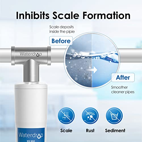 Does the Waterdrop WD-W65 Filter Really Improve Water Quality? Detailed Review Does the Waterdrop WD-W65 Filter Really Improve Water Quality? Detailed Review