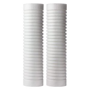 AO Smith 2.5"x10" 5 Micron Sediment Water Filter Replacement Cartridge - 2 Pack - For Whole House Filtration Systems - AO-WH-PREV-R2 AO Smith 2.5"x10" 5 Micron Sediment Water Filter Replacement Cartridge - 2 Pack - For Whole House Filtration Systems - AO-WH-PREV-R2