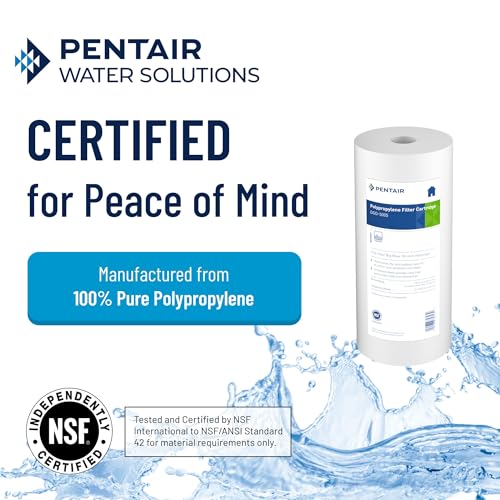 In-Depth Review of Pentek DGD 5005 Best Whole House Water Filter Cartridge In-Depth Review of Pentek DGD 5005 Best Whole House Water Filter Cartridge