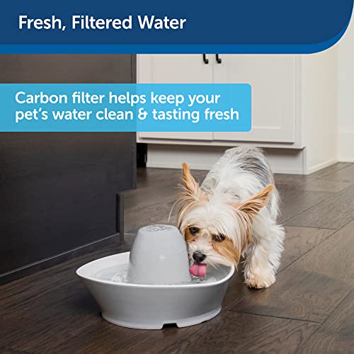 PetSafe Drinkwell Replacement Carbon Filters Review Fresh Water for Pets PetSafe Drinkwell Replacement Carbon Filters Review Fresh Water for Pets